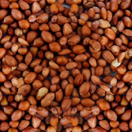 فستق سوداني